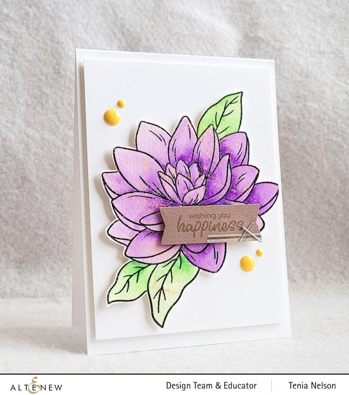 PMA Industries, Inc. Clear Stamps Paint-A-Flower: Waterlily Dahlia Outline Stamp Set