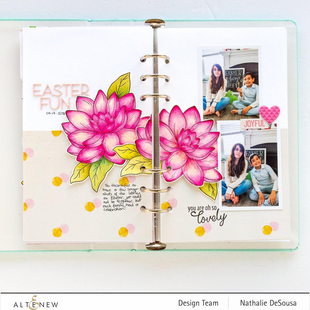 PMA Industries, Inc. Clear Stamps Paint-A-Flower: Waterlily Dahlia Outline Stamp Set