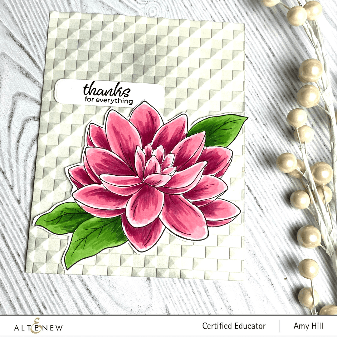 PMA Industries, Inc. Clear Stamps Paint-A-Flower: Waterlily Dahlia Outline Stamp Set