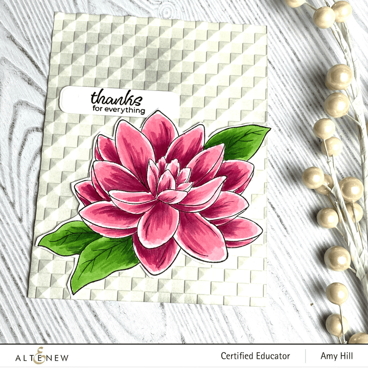 PMA Industries, Inc. Clear Stamps Paint-A-Flower: Waterlily Dahlia Outline Stamp Set