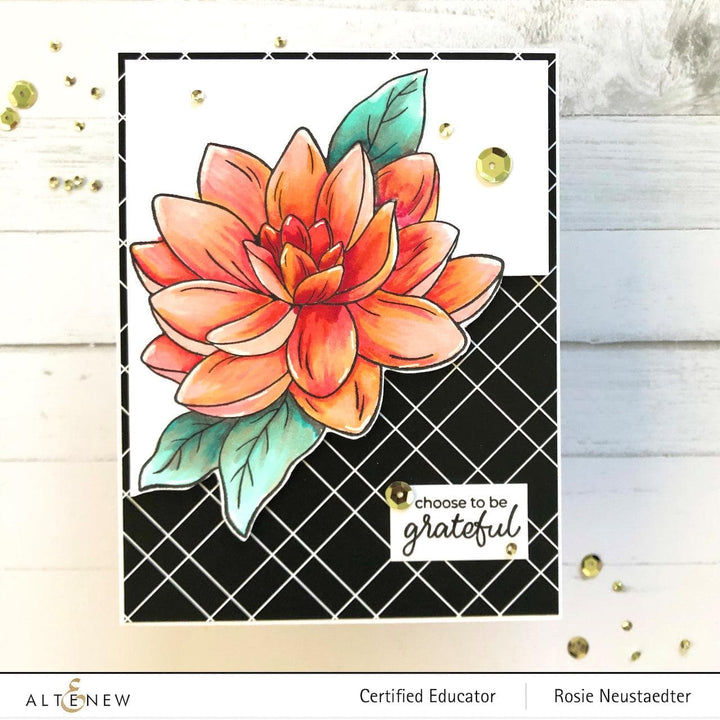 PMA Industries, Inc. Clear Stamps Paint-A-Flower: Waterlily Dahlia Outline Stamp Set