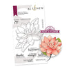 PMA Industries, Inc. Clear Stamps Paint-A-Flower: Waterlily Dahlia Outline Stamp Set