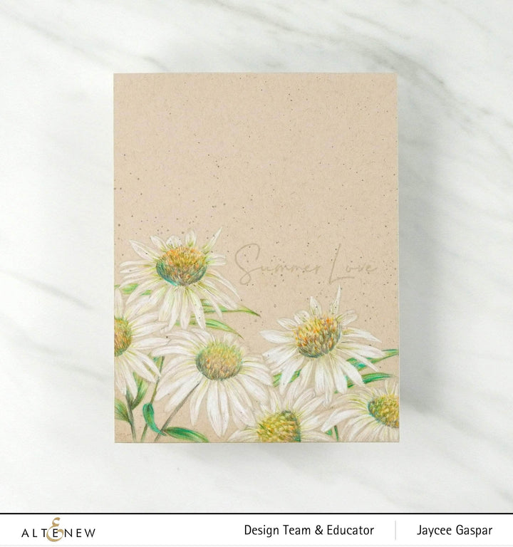 Photocentric Clear Stamps Paint-A-Flower: White Swan Echinacea Outline Stamp Set