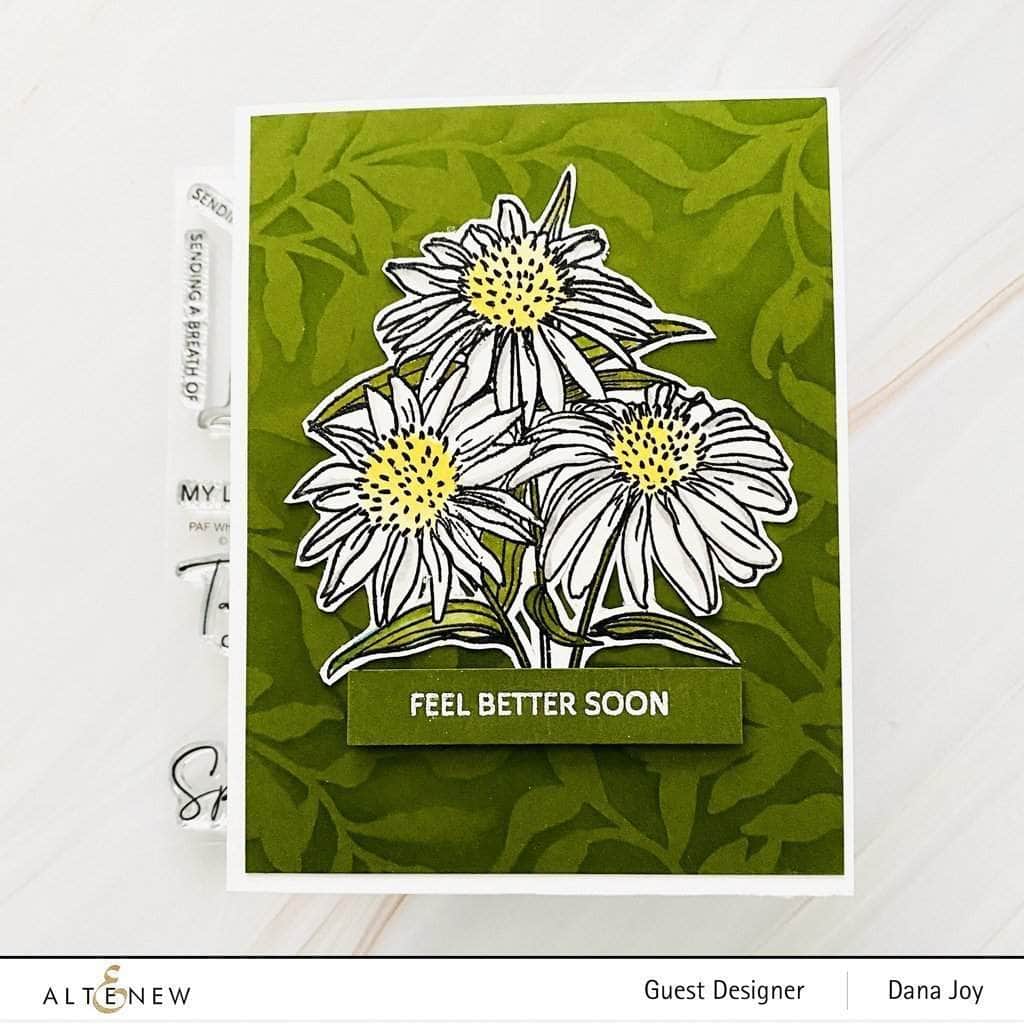 Photocentric Clear Stamps Paint-A-Flower: White Swan Echinacea Outline Stamp Set