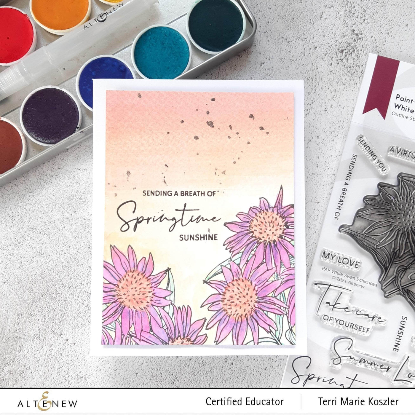 Photocentric Clear Stamps Paint-A-Flower: White Swan Echinacea Outline Stamp Set
