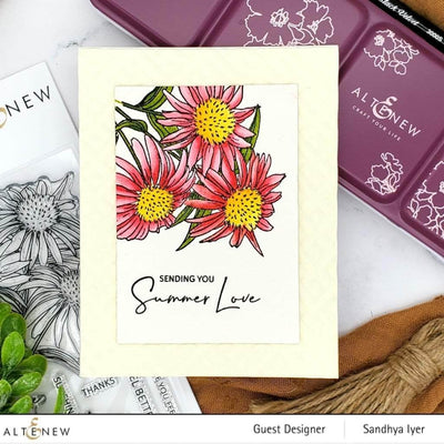 Photocentric Clear Stamps Paint-A-Flower: White Swan Echinacea Outline Stamp Set