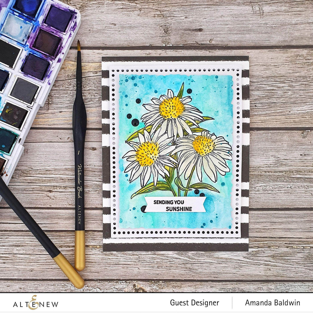 Photocentric Clear Stamps Paint-A-Flower: White Swan Echinacea Outline Stamp Set