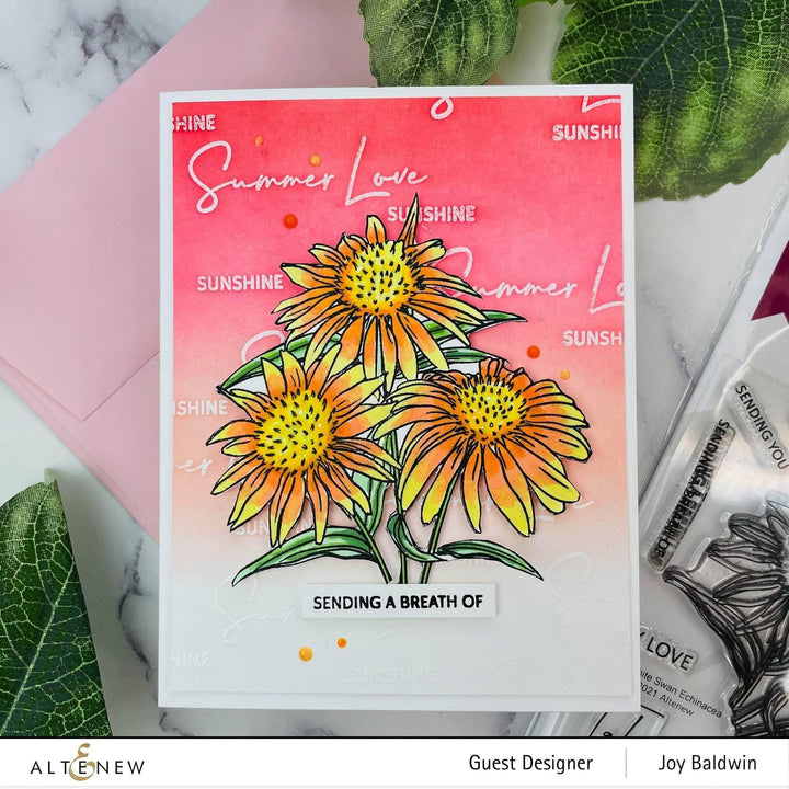 Photocentric Clear Stamps Paint-A-Flower: White Swan Echinacea Outline Stamp Set