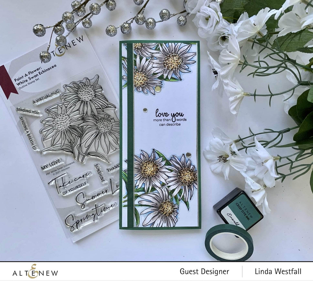 Photocentric Clear Stamps Paint-A-Flower: White Swan Echinacea Outline Stamp Set
