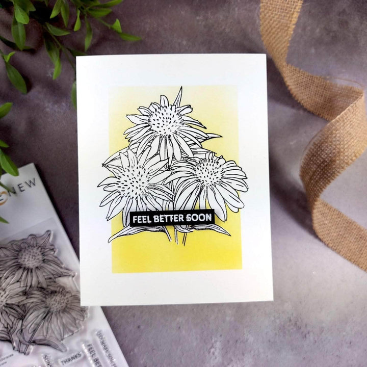 Photocentric Clear Stamps Paint-A-Flower: White Swan Echinacea Outline Stamp Set