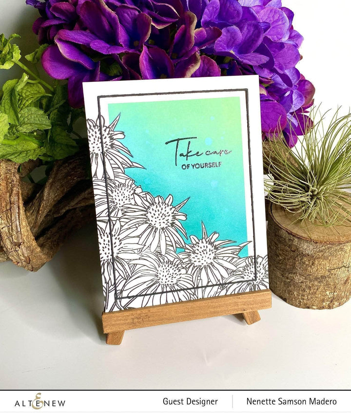 Photocentric Clear Stamps Paint-A-Flower: White Swan Echinacea Outline Stamp Set