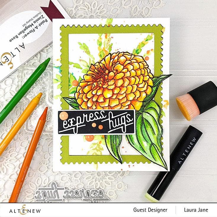 Photocentric Clear Stamps Paint-A-Flower: Zinnia Magellan Rose Outline Stamp Set