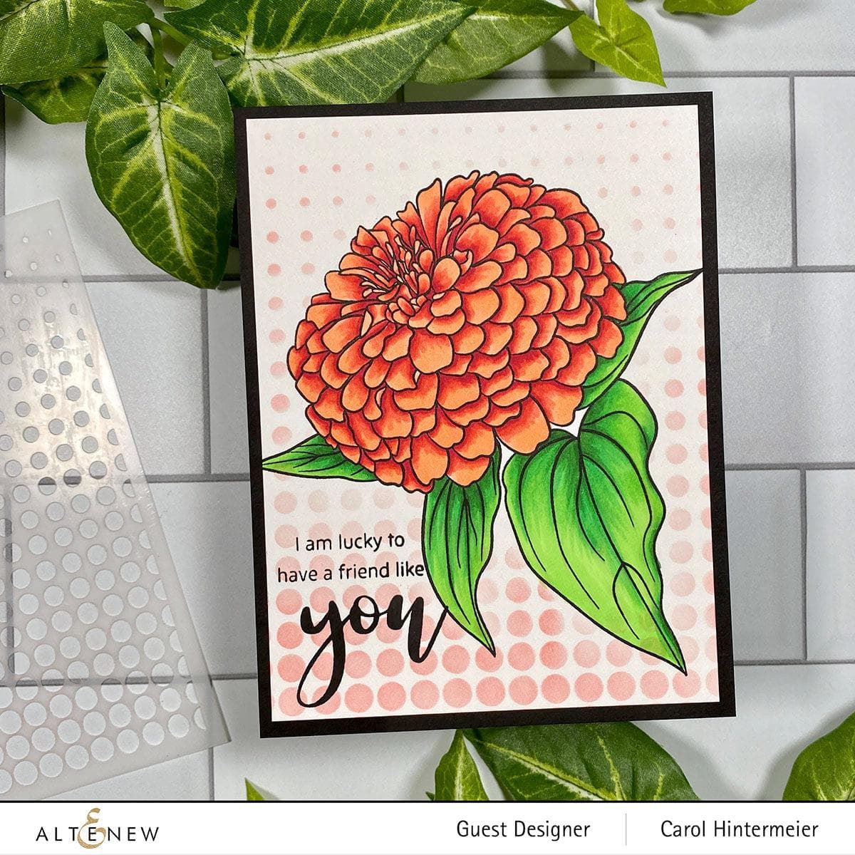 Photocentric Clear Stamps Paint-A-Flower: Zinnia Magellan Rose Outline Stamp Set