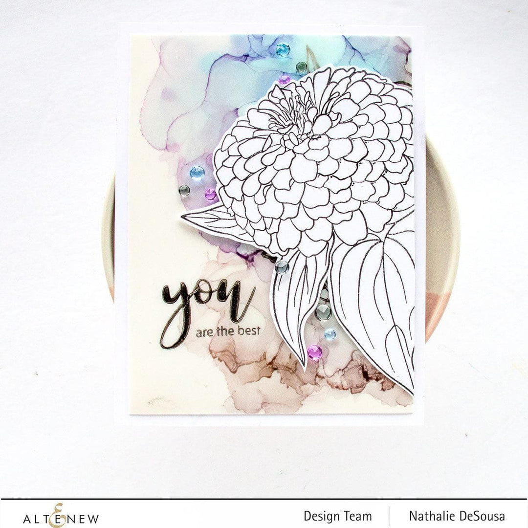 Photocentric Clear Stamps Paint-A-Flower: Zinnia Magellan Rose Outline Stamp Set