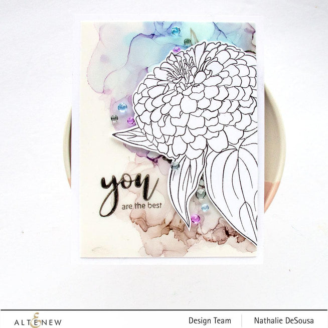Photocentric Clear Stamps Paint-A-Flower: Zinnia Magellan Rose Outline Stamp Set