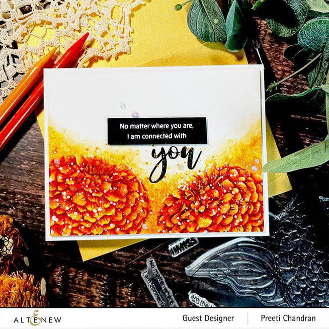 Photocentric Clear Stamps Paint-A-Flower: Zinnia Magellan Rose Outline Stamp Set