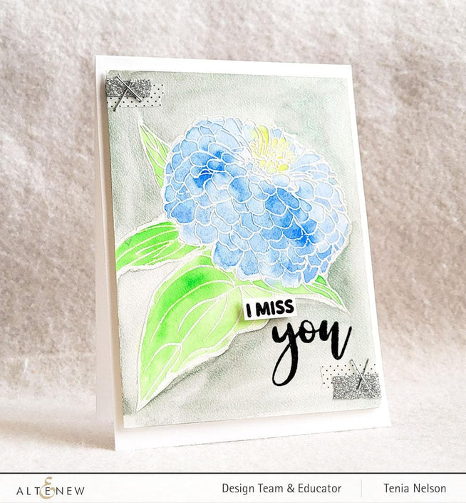 Photocentric Clear Stamps Paint-A-Flower: Zinnia Magellan Rose Outline Stamp Set
