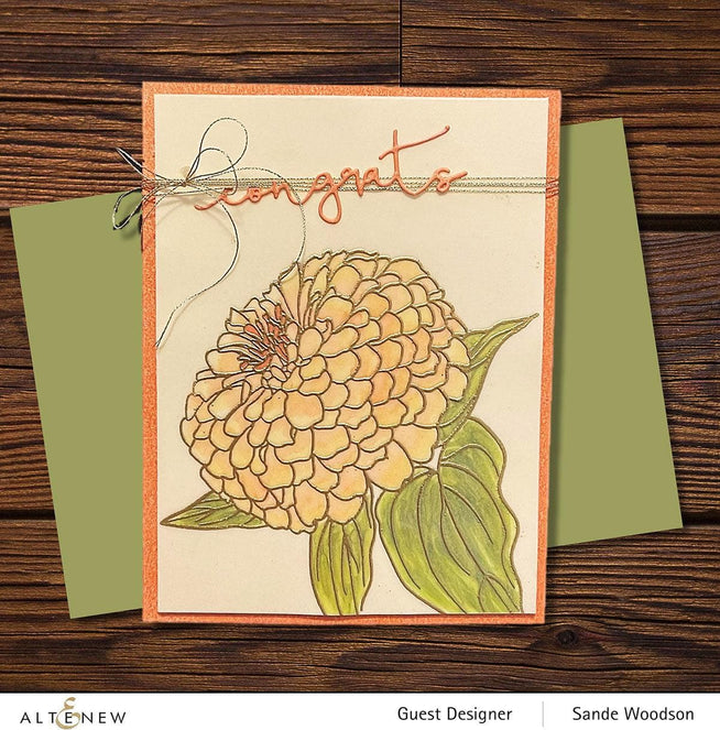 Photocentric Clear Stamps Paint-A-Flower: Zinnia Magellan Rose Outline Stamp Set