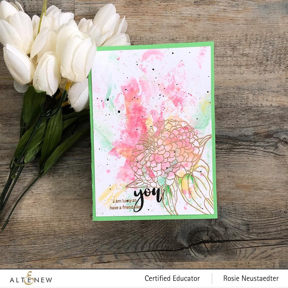 Photocentric Clear Stamps Paint-A-Flower: Zinnia Magellan Rose Outline Stamp Set