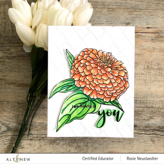 Photocentric Clear Stamps Paint-A-Flower: Zinnia Magellan Rose Outline Stamp Set