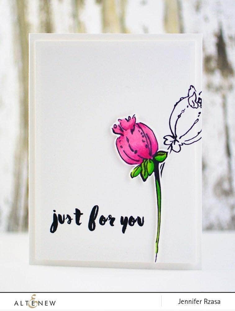 Photocentric Clear Stamps Painted Greetings Stamp Set