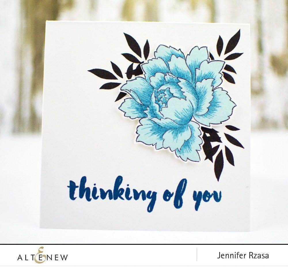 Photocentric Clear Stamps Painted Greetings Stamp Set