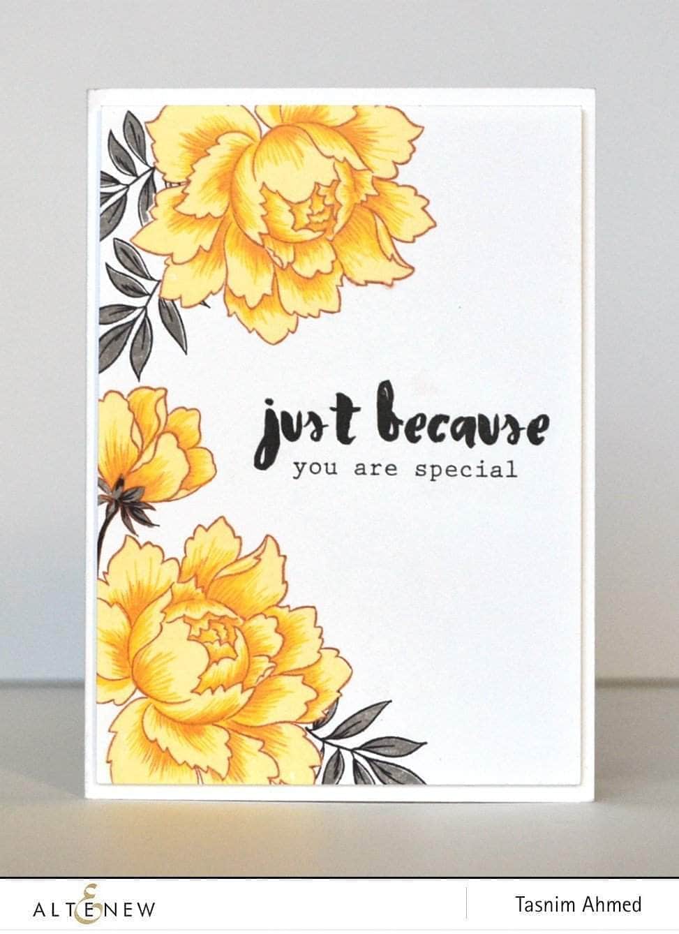 Photocentric Clear Stamps Painted Greetings Stamp Set