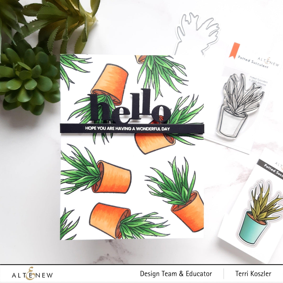 Photocentric Clear Stamps Potted Succulent Stamp Set