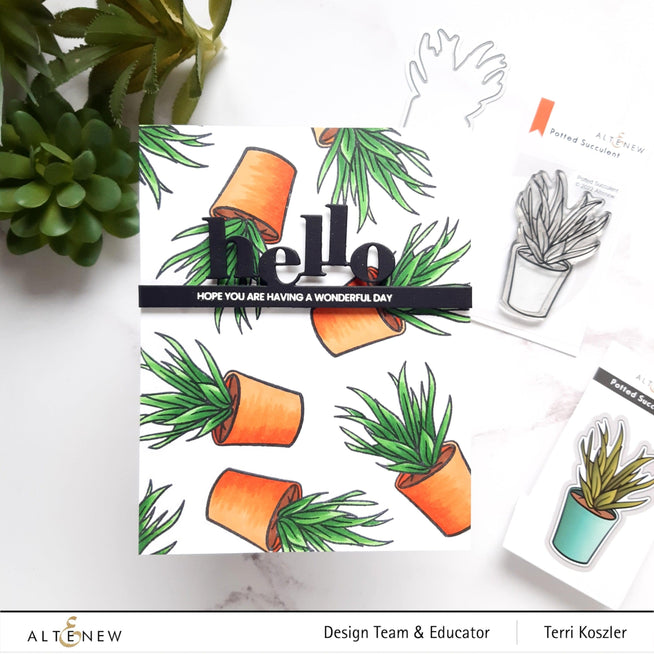 Photocentric Clear Stamps Potted Succulent Stamp Set