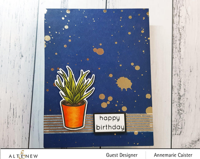 Photocentric Clear Stamps Potted Succulent Stamp Set