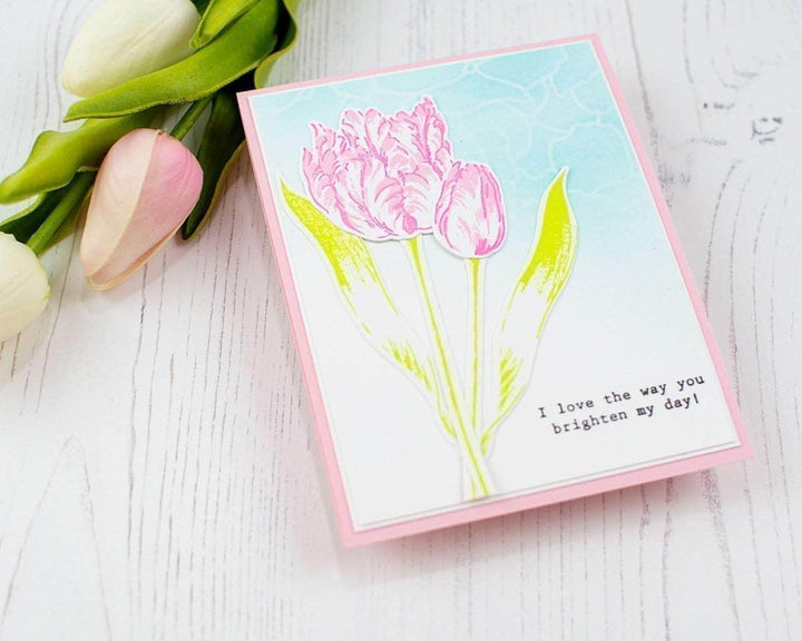 Photocentric Clear Stamps Reason to Smile Stamp Set