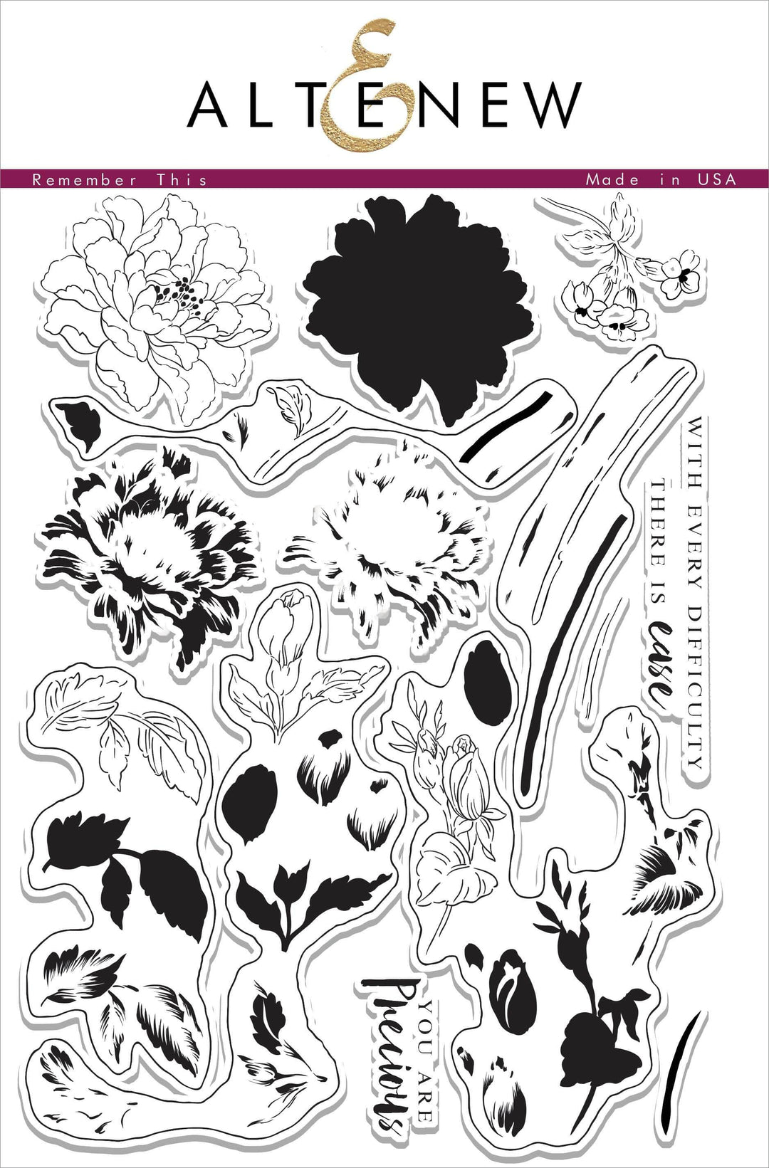 Photocentric Clear Stamps Remember This Stamp Set