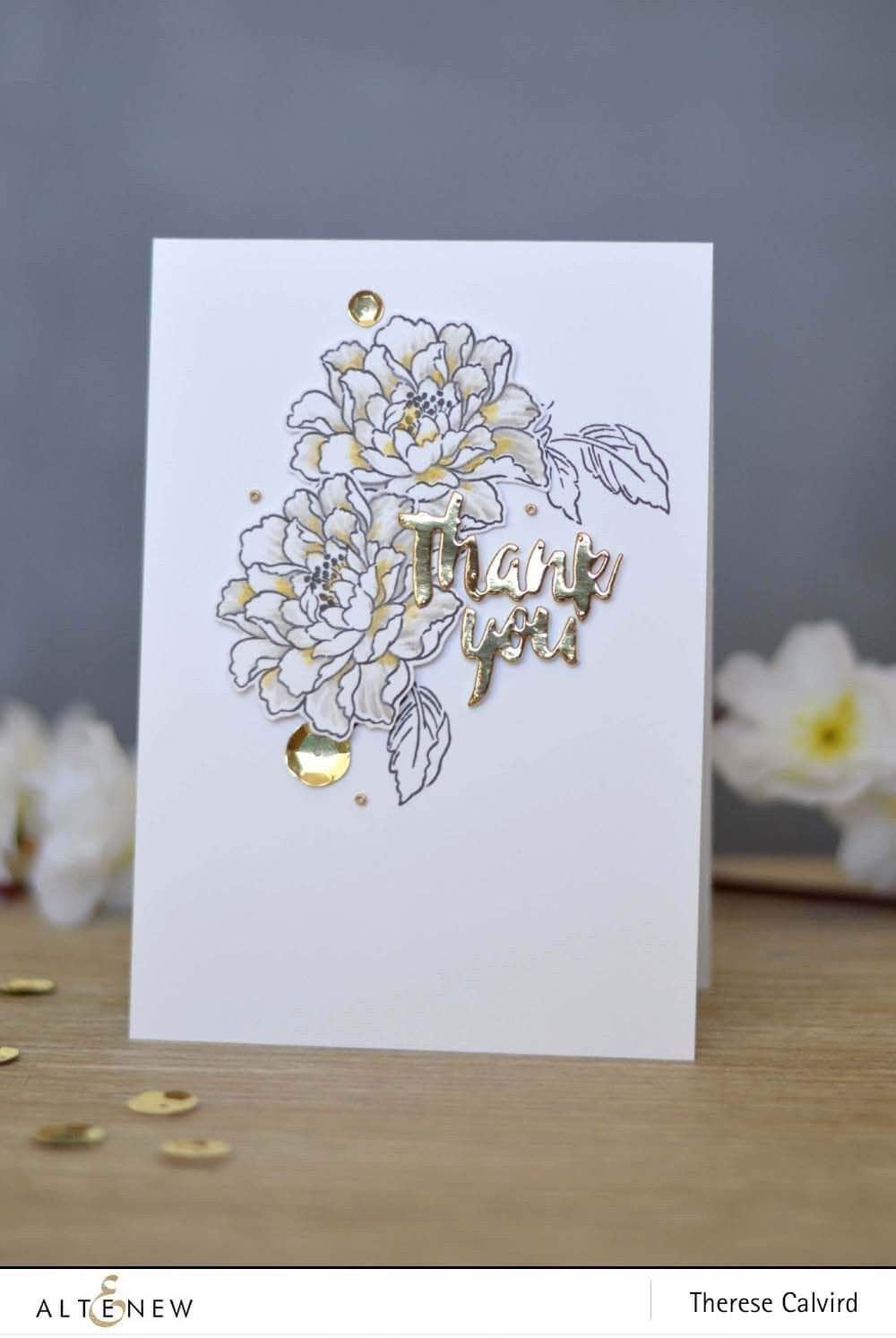 Photocentric Clear Stamps Remember This Stamp Set