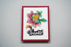 Photocentric Clear Stamps Scalloped Ornaments Stamp Set