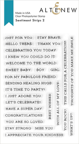 Photocentric Clear Stamps Sentiment Strips 2 Stamp Set