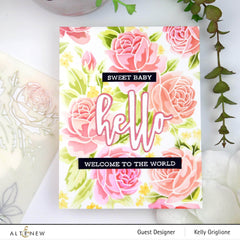 Photocentric Clear Stamps Sentiment Strips 2 Stamp Set