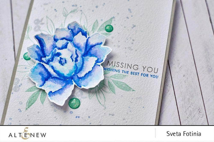 Photocentric Clear Stamps Sentiments & Quotes Stamp Set