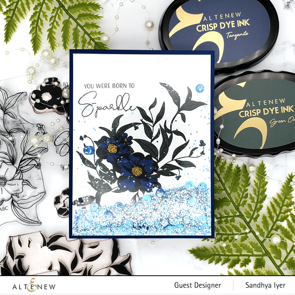 Photocentric Clear Stamps Sparkle Bright Stamp Set