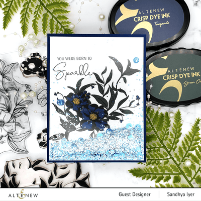 Photocentric Clear Stamps Sparkle Bright Stamp Set