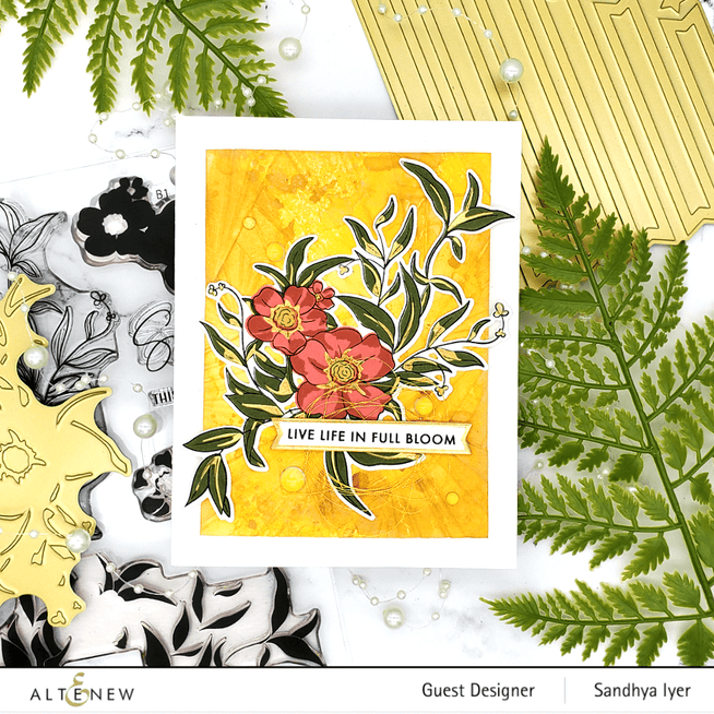 Photocentric Clear Stamps Sparkle Bright Stamp Set