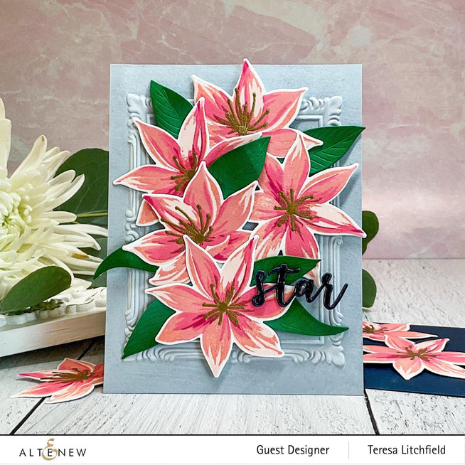 Photocentric Clear Stamps Stunning Starflowers Stamp Set