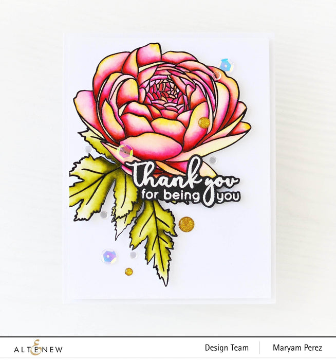 Photocentric Clear Stamps Sweet Nothings Stamp Set
