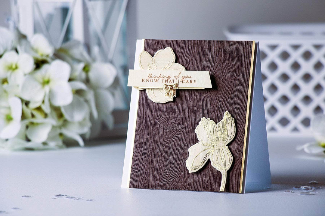 Photocentric Clear Stamps Thinking of You Stamp Set