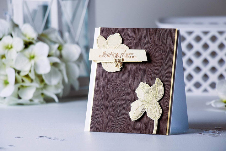 Photocentric Clear Stamps Thinking of You Stamp Set