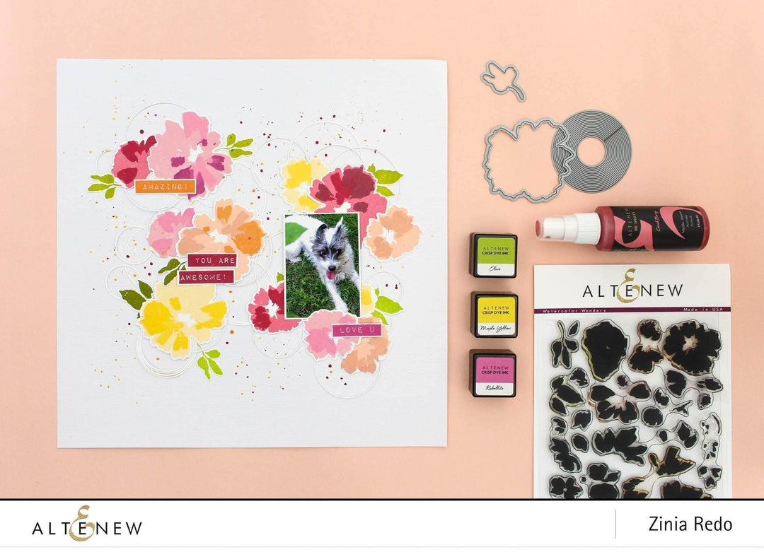 Photocentric Clear Stamps Watercolor Wonders Stamp Set