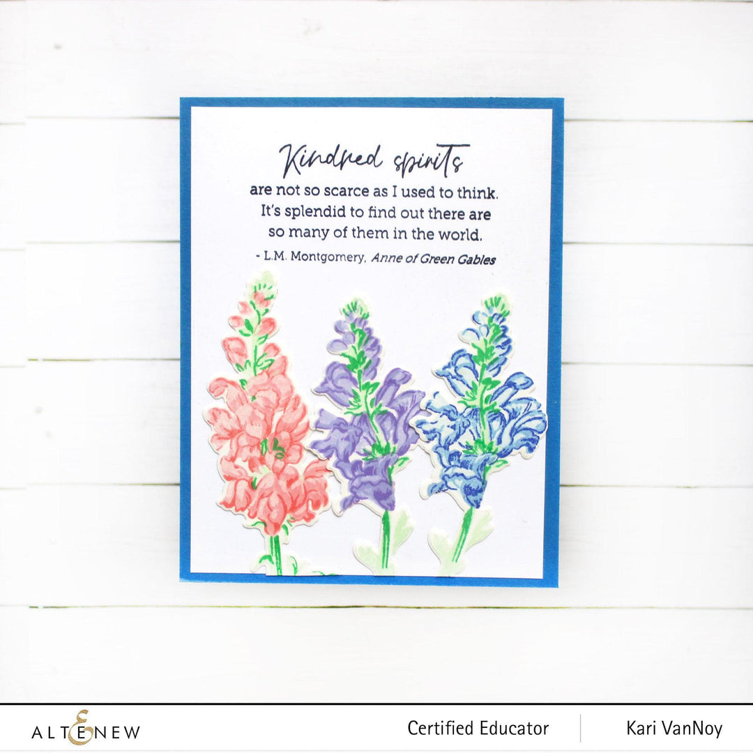 Photocentric Clear Stamps Well-Read Stamp Set