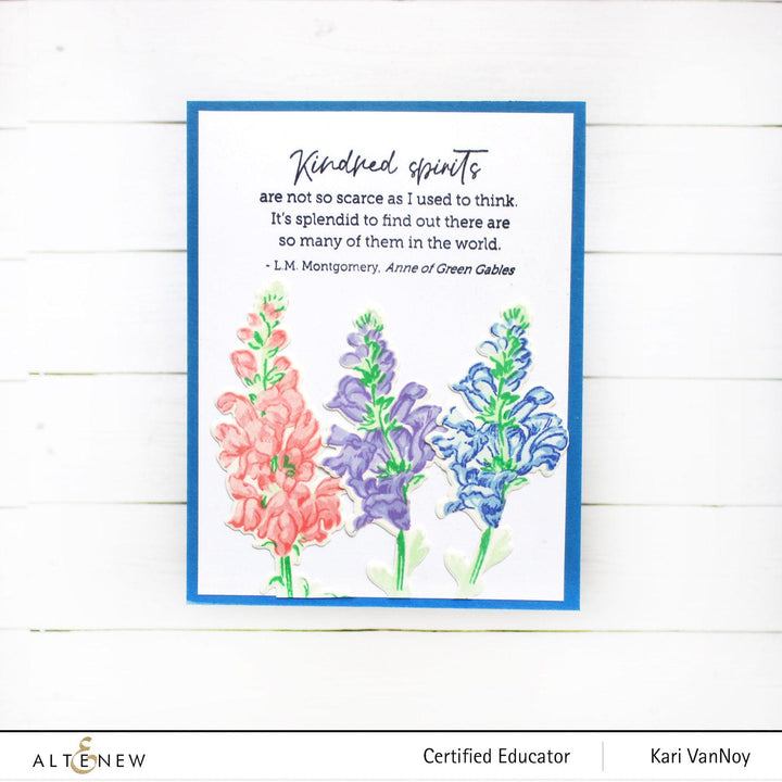Photocentric Clear Stamps Well-Read Stamp Set