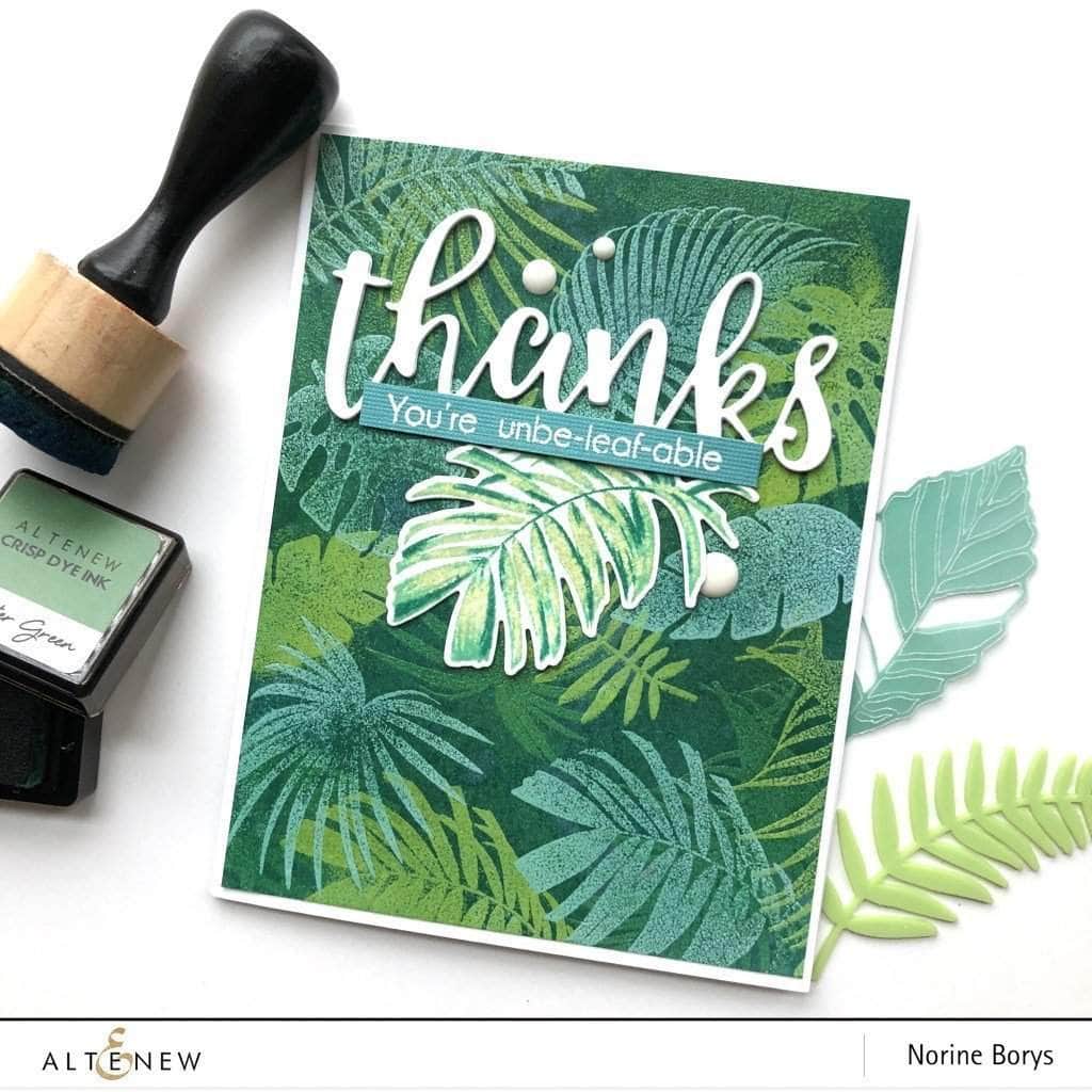 Photocentric Clear Stamps Wild Ferns Stamp Set