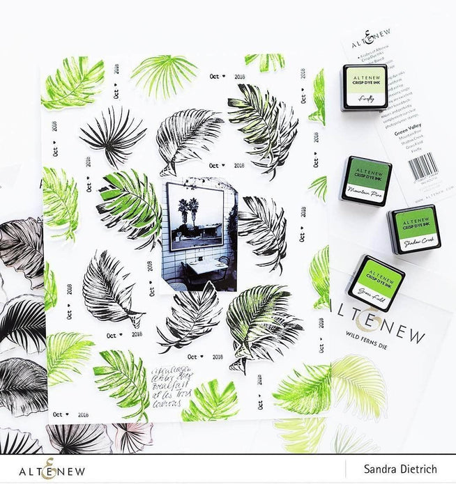 Photocentric Clear Stamps Wild Ferns Stamp Set