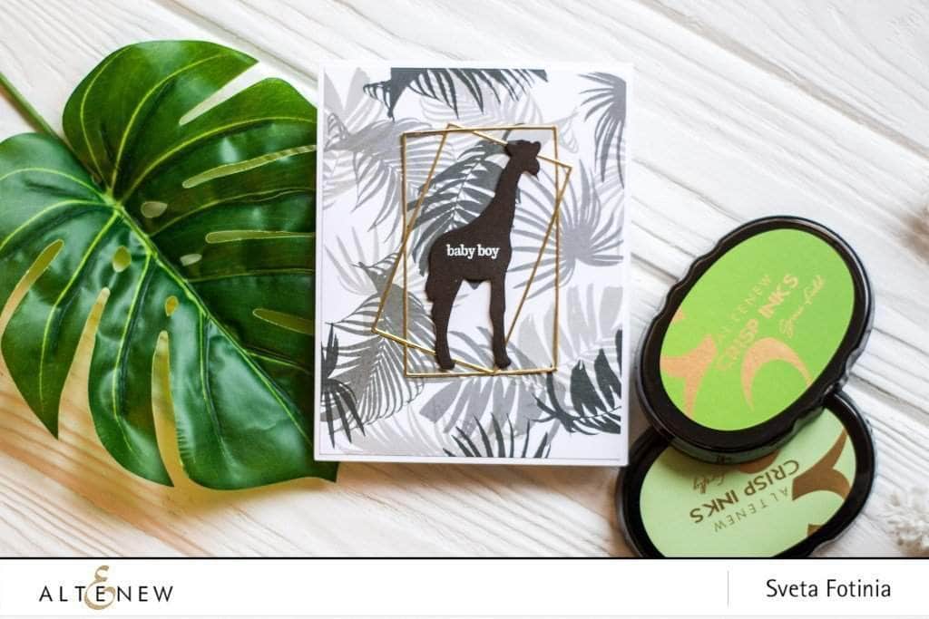 Photocentric Clear Stamps Wild Ferns Stamp Set